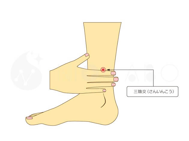 三陰交(さんいんこう)のツボの位置