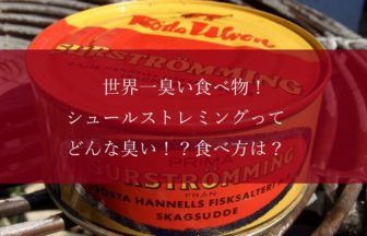 シュールストレミングはどんな臭い？食べ方と消臭方法まで解説！